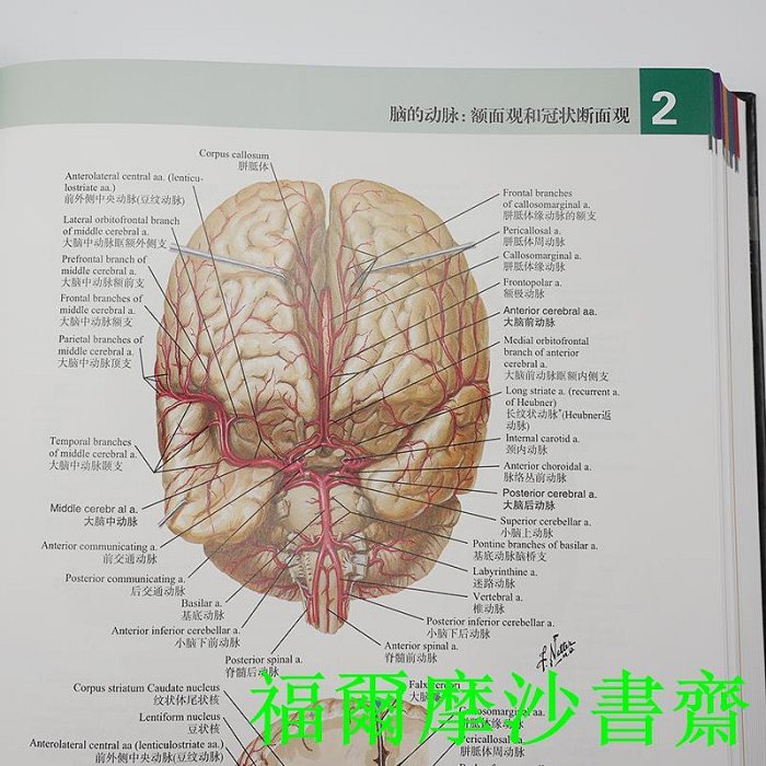 福爾摩沙書齋】奈特人體解剖學彩色圖譜，第8版| Yahoo拍賣