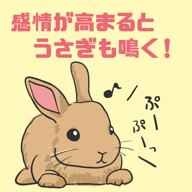 2023年の干支はうさぎ！ふれあい、ご利益、グッズ…うさぎスポットへ