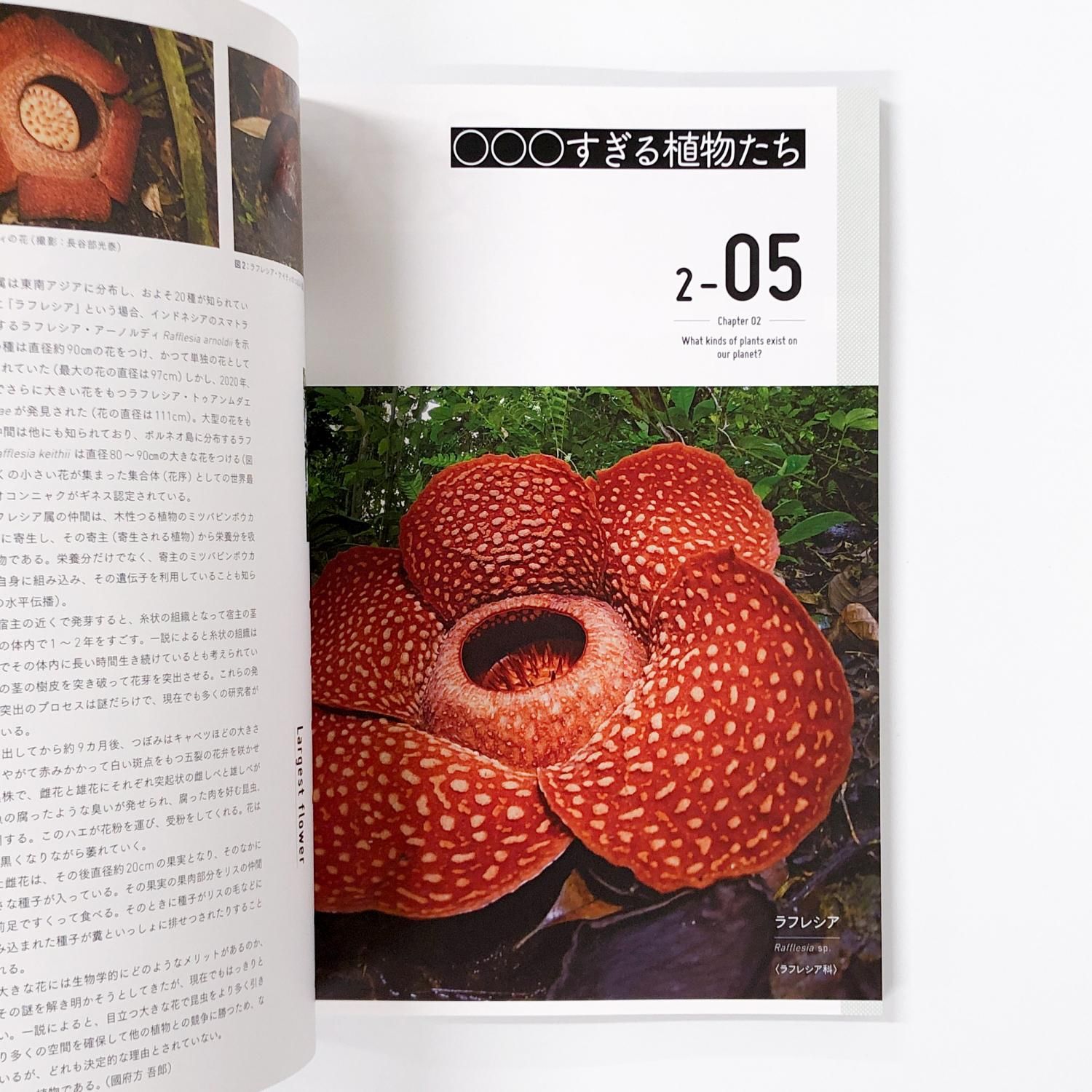 図録 | 特別展 | 植物 | 地球を支える仲間たち - ノースブックセンター