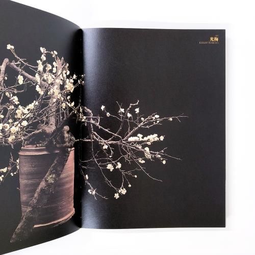 魔の山 | 中川幸夫作品集 - ノースブックセンター