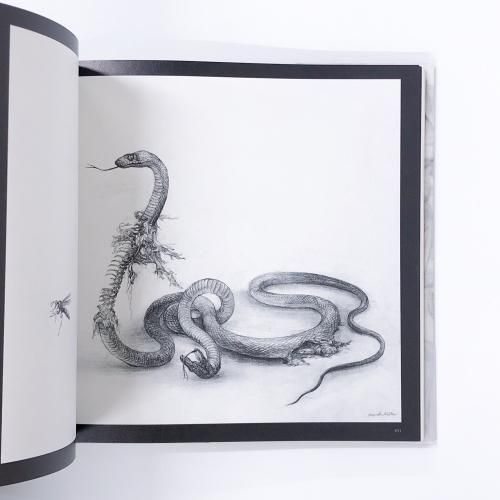 特装版 | 松井冬子画集 | 世界中の子と友達になれる - ノースブック