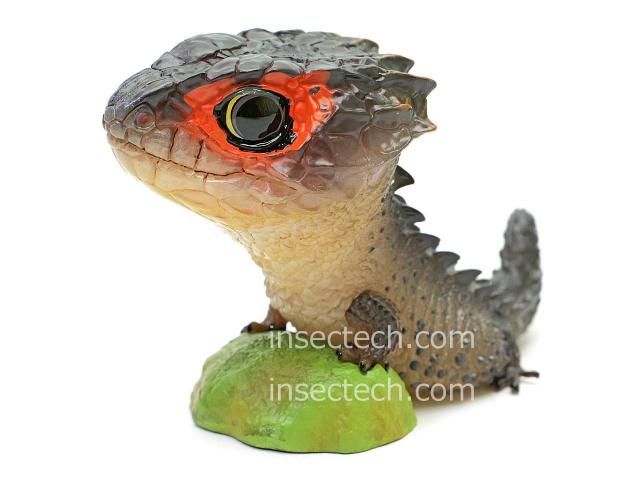 動物の惑星】アカメカブトトカゲ フィギュア - 昆虫採集・昆虫標本用品