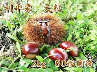 九州熊本産無農薬利平栗大粒｜九州産の米や果物など、農家直送通販