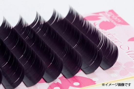 Sakuraミンク Cカール - まつ毛エクステ＆美容商材の卸売・通販