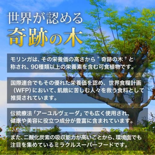 Moringa Botanical Conditioning Shampoo - ラブルネッサンス 公式