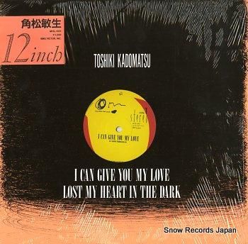 角松敏生 i can give you my love M13L-1001 | レコード買取