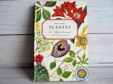 PLANTES D'APPARTEMENT | 室内植物図鑑/フランス - 外国の古くて