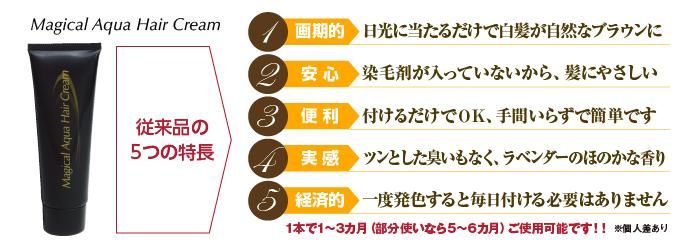 マジカルヘアクリームS 2個セット（簡単白髪染めクリーム）|有限会社