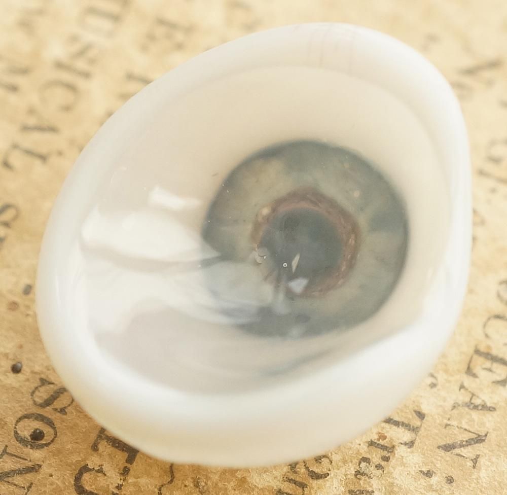 アンティーク・義眼（ドイツ・ラウシャ製／1890年頃） - Guignol