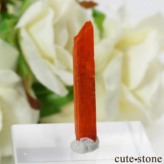 クロコアイト（紅鉛鉱）の結晶 0.6g - cute stone -