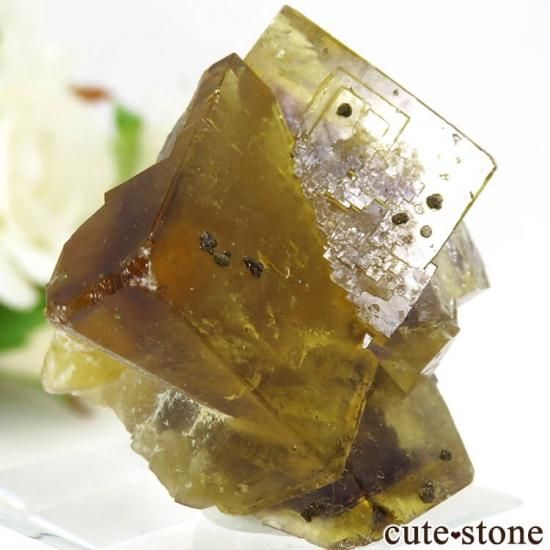 ドイツ Bergmännisch Glück Mine産 イエローフローライトの原石 32g