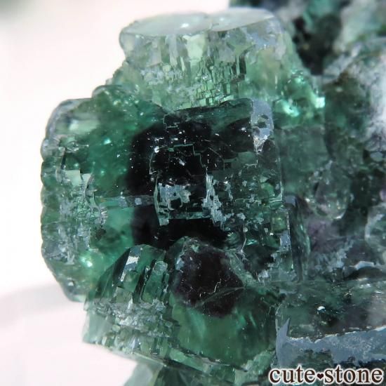 ナミビア Okorusu Mine｜D-Pit産 フローライトの原石 No.52 - cute stone -