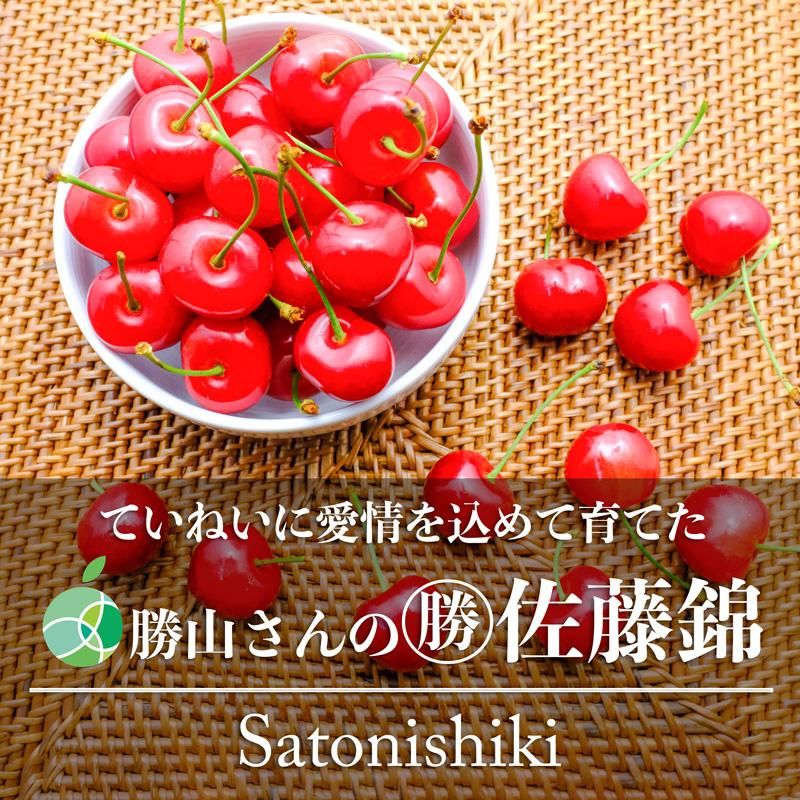 送料無料 勝山さんの佐藤錦 さくらんぼ L〜2L 約200g 2パック 長野県