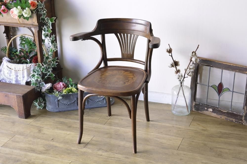 ベントウッド（BENTWOOD）とは｜歴史・種類・特徴をわかりやすく解説