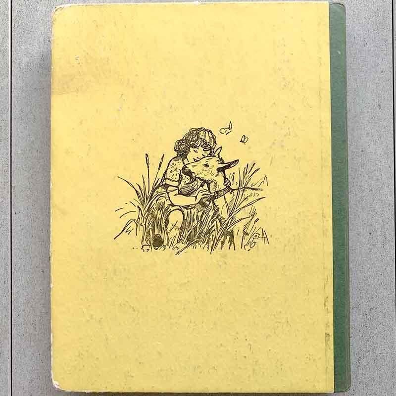 フランス古書 ハイジ レトロ挿絵 アルプスの風景 色彩豊か【山ガール】