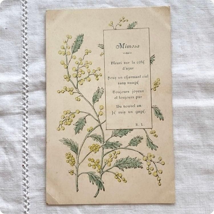 フランスアンティーク ポストカード | ミモザの花とポエム 3月8日