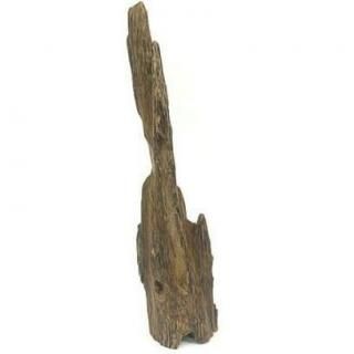 香木【沈香】-芳月苑