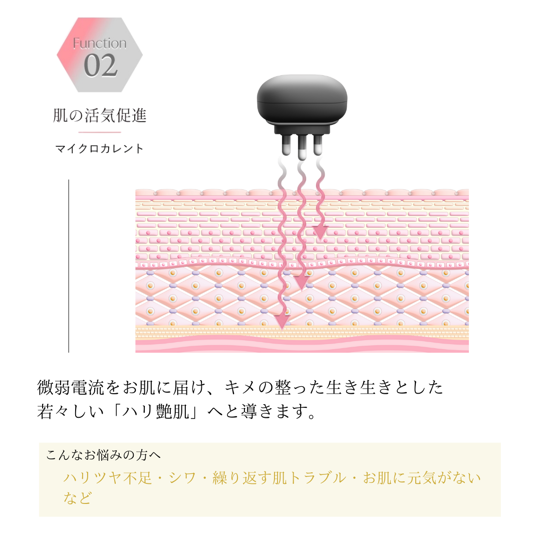 公式】セルキュア4T++（プラスプラス） - BELEGA ONLINE SHOP