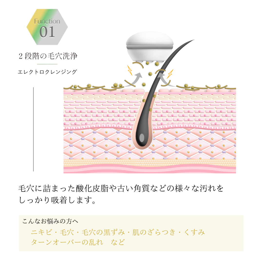 公式】セルキュア4TPLUS - BELEGA ONLINE SHOP