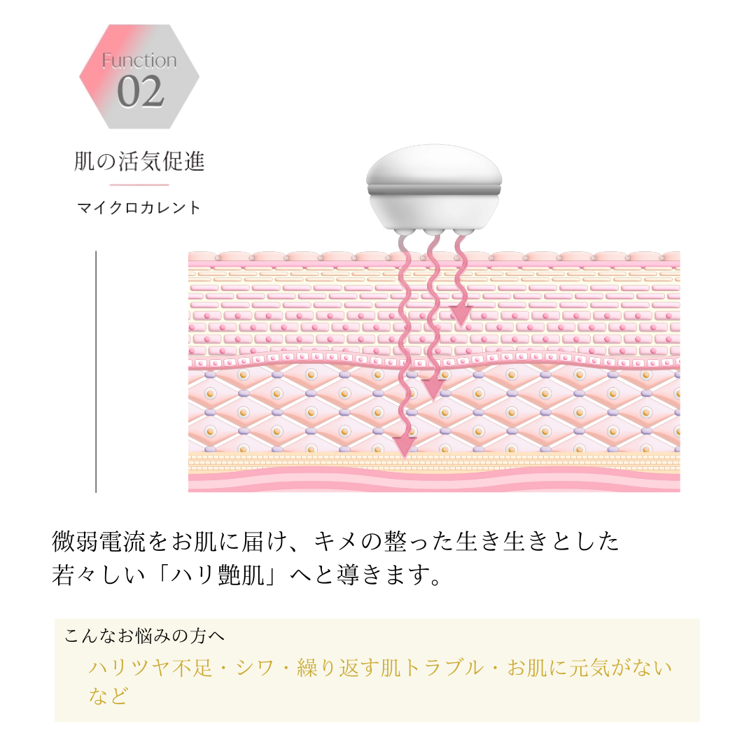 公式】セルキュア4TPLUS - BELEGA ONLINE SHOP