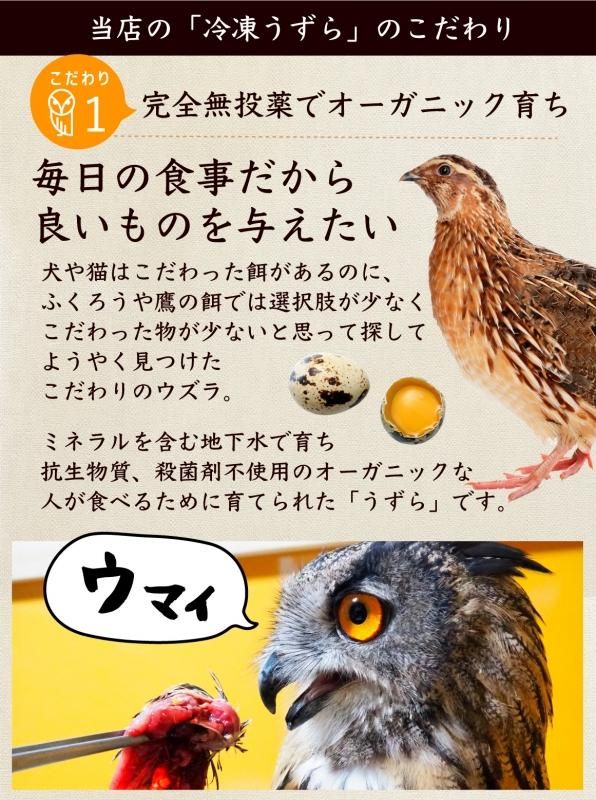 オーガニックウズラ - ふくろうの餌専門店「ホーホー」