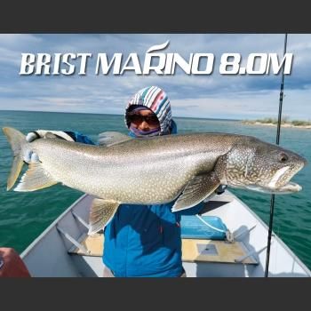BRIST MARINO8.0M（ブリストマリノ）| シーバス、サーフから本流、青物