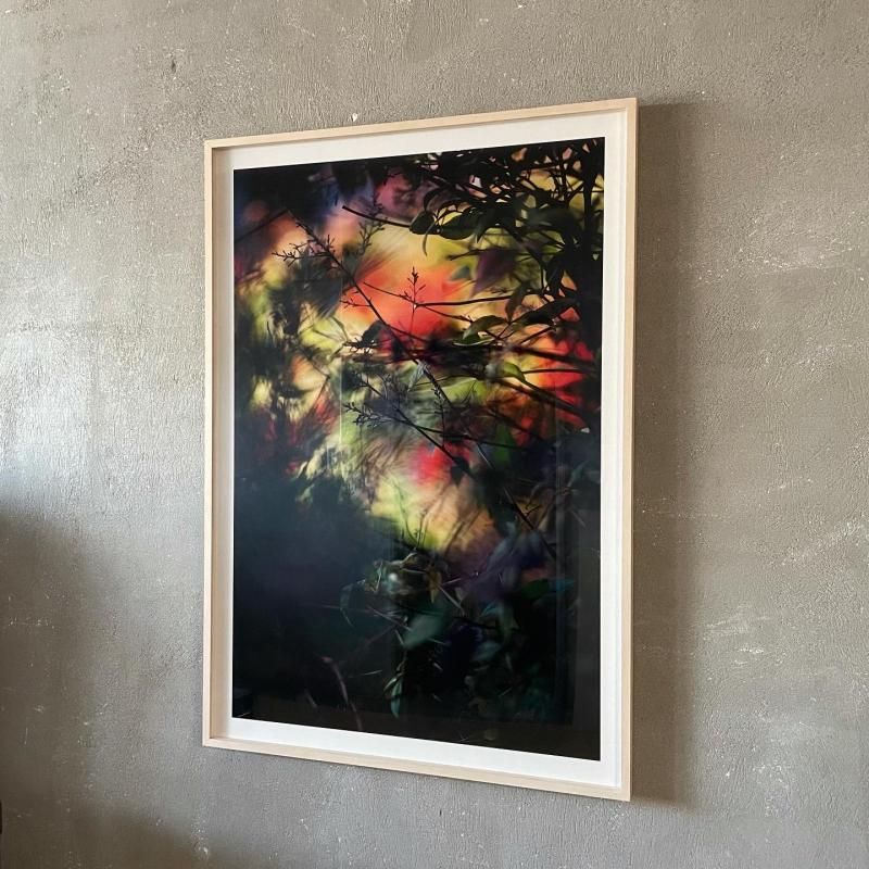 SIGNED〉Terri Weifenbach 