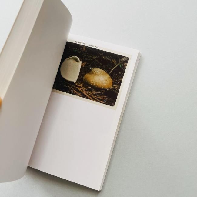 The Mushroom Collector | Jason Fulford ジェイソン・フルフォード