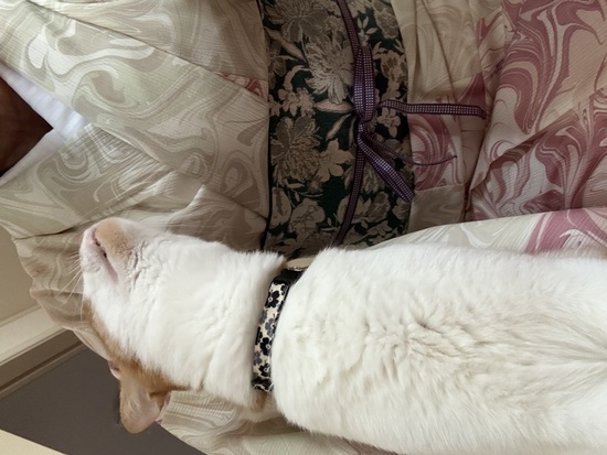 フロレゾン兵児帯 - TSUBAKIAN ONLINE STORE