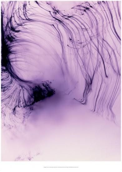 Wolfgang Tillmans: It's Only Love Give It Away ポスター - BALLOON