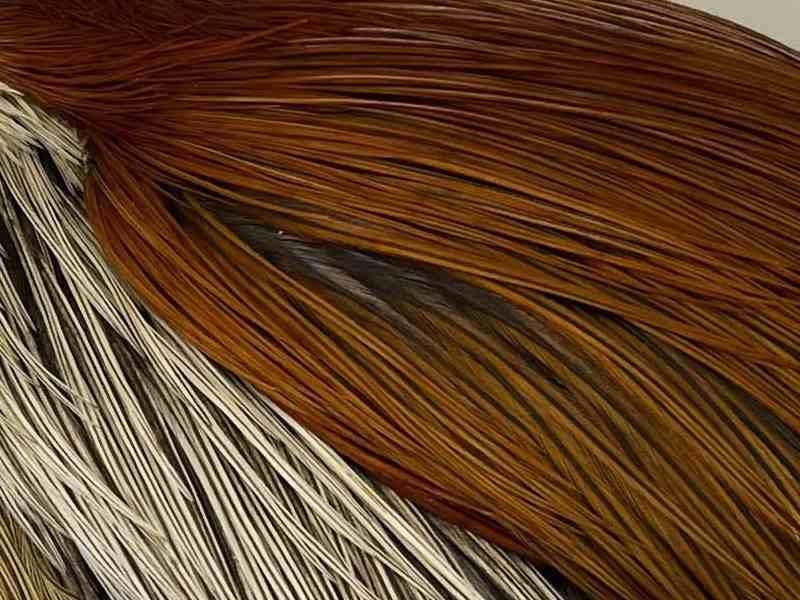 WHITING（ホワイティング） Heritage Hackle Cape（ヘリテージ