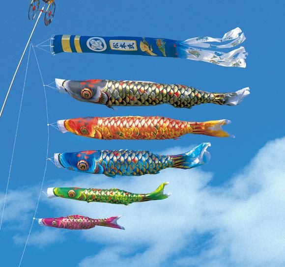 ゴールデンフジサワ鯉 鯉のぼり 01 鯉のぼり フジサワ 黄金鯉 フジサワ