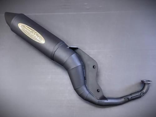 ステルススティンガー【ライブDIO-ZX/ライブDIO】 - バイクカスタム