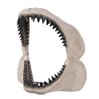 オブジェ☆サメ・鮫☆メガロドンジョーズの歯の化石【125cm】☆等身大