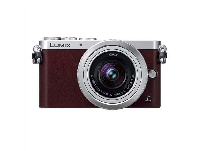 パナソニック、新カラ-＆機能追加でリニューアルした「LUMIX GM1S
