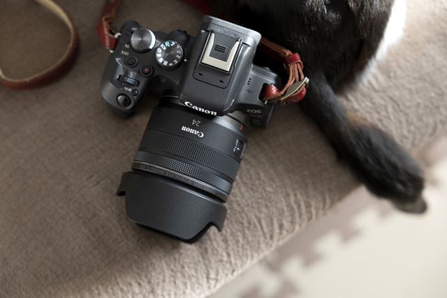 CANON EOS R10 ボディ 価格比較 - 価格.com
