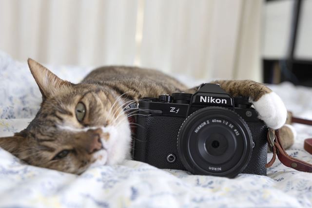 ニコン NIKKOR Z 28mm f/2.8 Special Edition 価格比較 - 価格.com