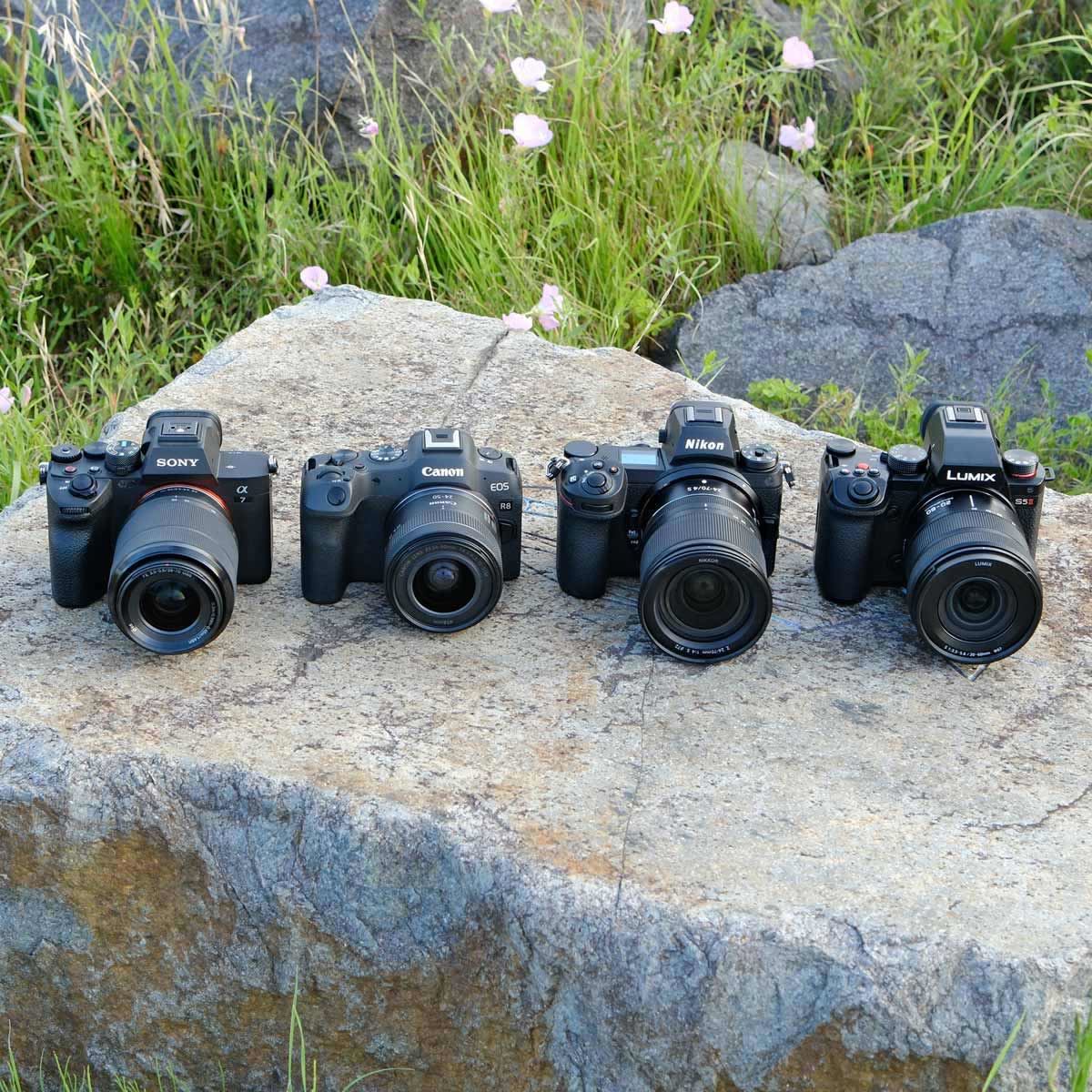 フルサイズミラーレスカメラ“定番モデル”徹底比較！ 選んで間違いない4