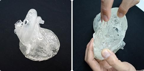 Cardio Model E.V. : 透明（XC-04T）_購入 | 株式会社クロスメディカル