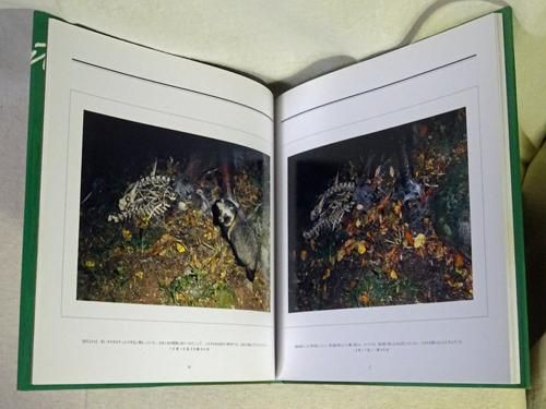 死 宮崎学写真集 - 古本買取販売 ハモニカ古書店 建築 美術 写真集