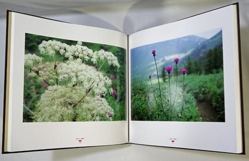 信濃遊行 北井一夫写真集 - 古本買取販売 ハモニカ古書店 建築 美術