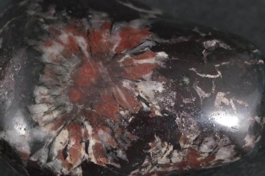 根尾谷産 菊花石 40.4g｜国産 原石 通販 キラリ石