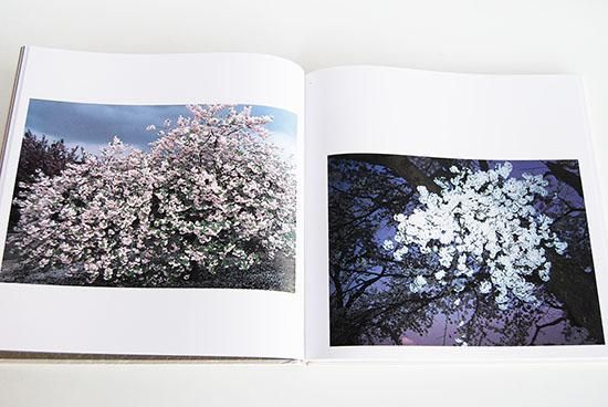 さくら・桜・サクラ120 東松照明 作品集 SAKURA120 Shomei Tomatsu