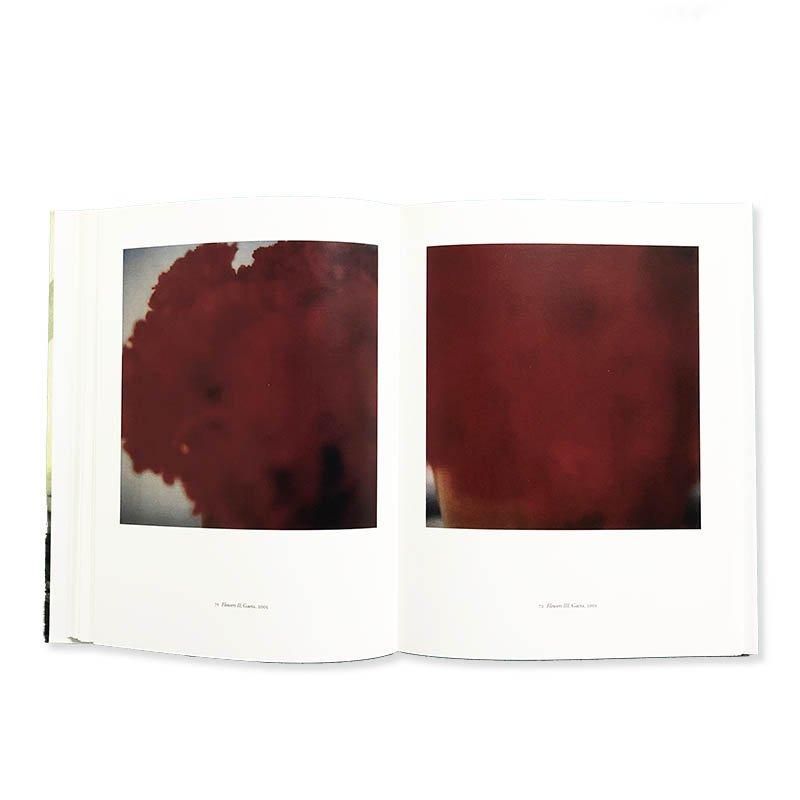 CY TWOMBLY PHOTOGRAPHS 1951-2007サイ・トゥオンブリ - 古本買取 2手