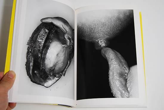 エロトス 荒木経惟写真全集 16 EROTOS The Works of Nobuyoshi Araki