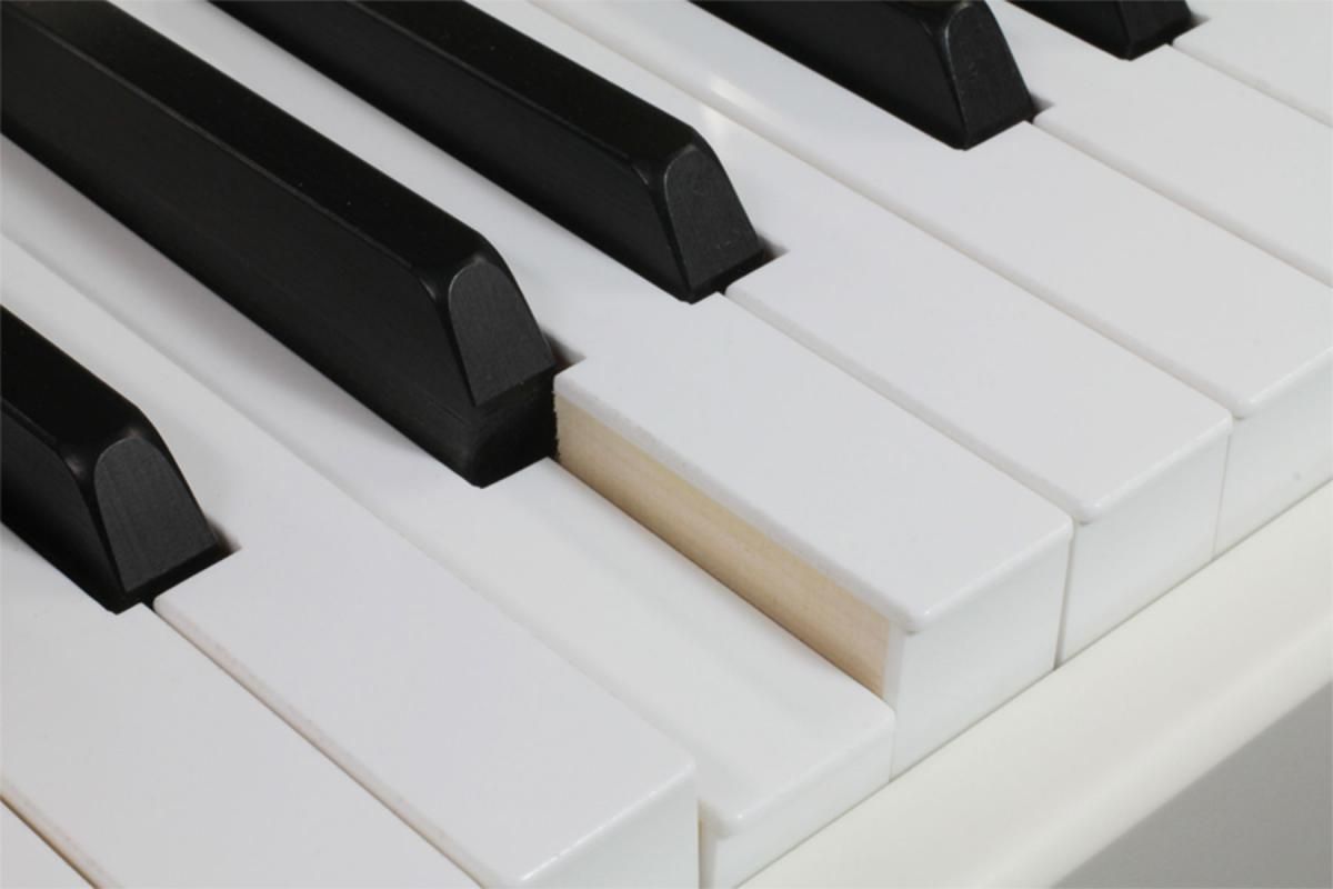 Mellotron | M4000D | シンセサイザー キーボード | Five G music