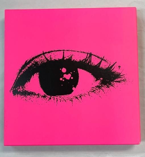 椎名林檎 写真集 「Sheena Ringo BoOk」 sheena ringo book/黒猫堂