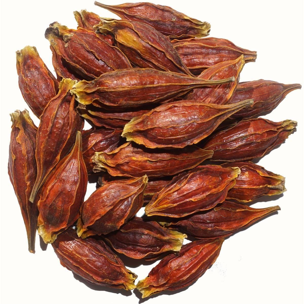 クチナシ 1kg くちなし 梔子 巵子 支子 センプク せんぷく 山梔子 梔子