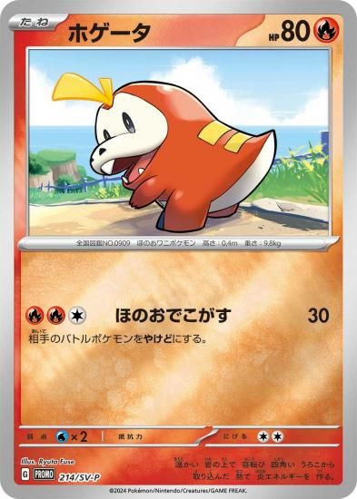 ポケモンカードゲーム 214/SV-P ホゲータ 炎 (PR プロモ) ポケカの夏が