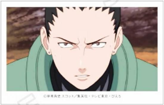 奈良シカマル】NARUTO-ナルト- 疾風伝 ミニフォトコレクション Vol.1